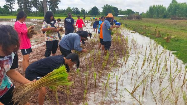 ข่าวสาร/ประชาสัมพันธ์ 